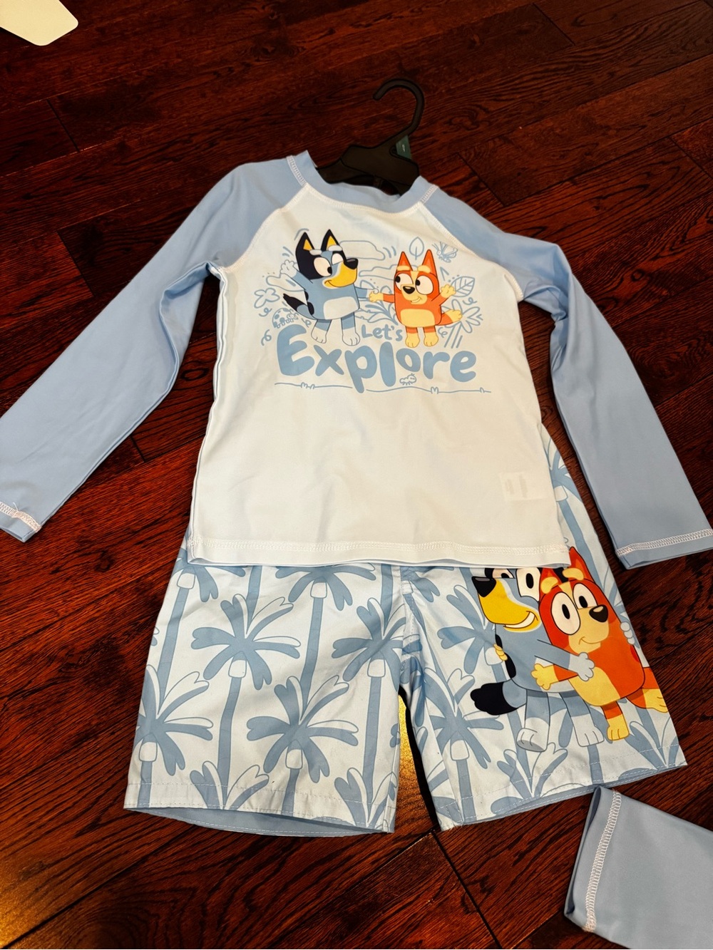Bluey Let's Explore' Swim Set with Characters